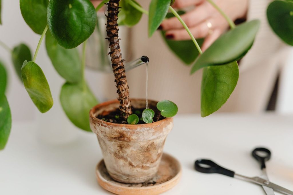 Kit Micro-Drip installé sur des pots de balcon