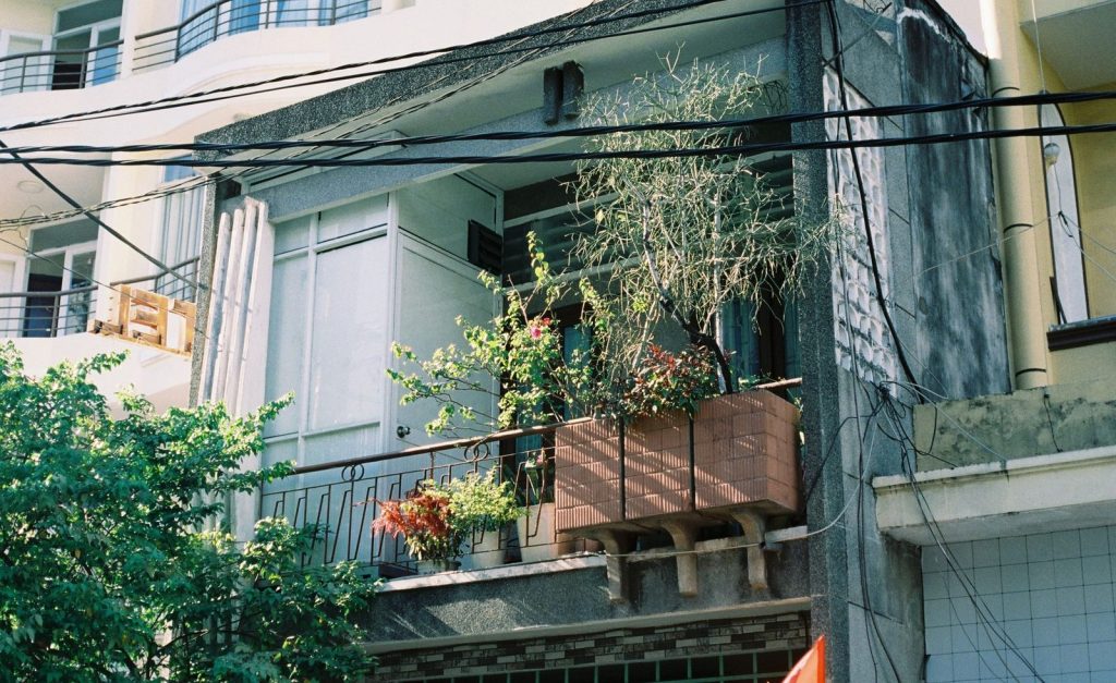Des balcons végétalisés en ville.