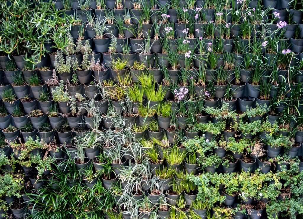 Des jardinières murales pour gagner de la place sur un petit balcon.