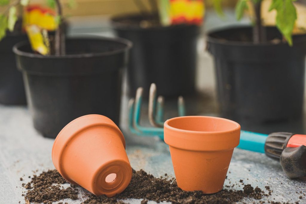 Pots en terre cuite prêts pour la plantation.