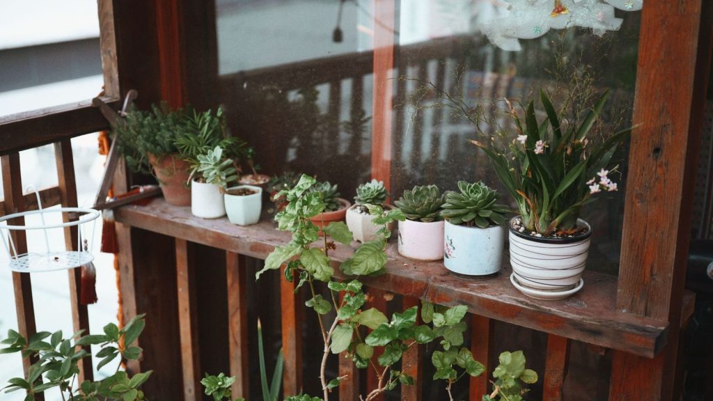 Des bacs de tailles variées sur un balcon, traités comme de petites parcelles.