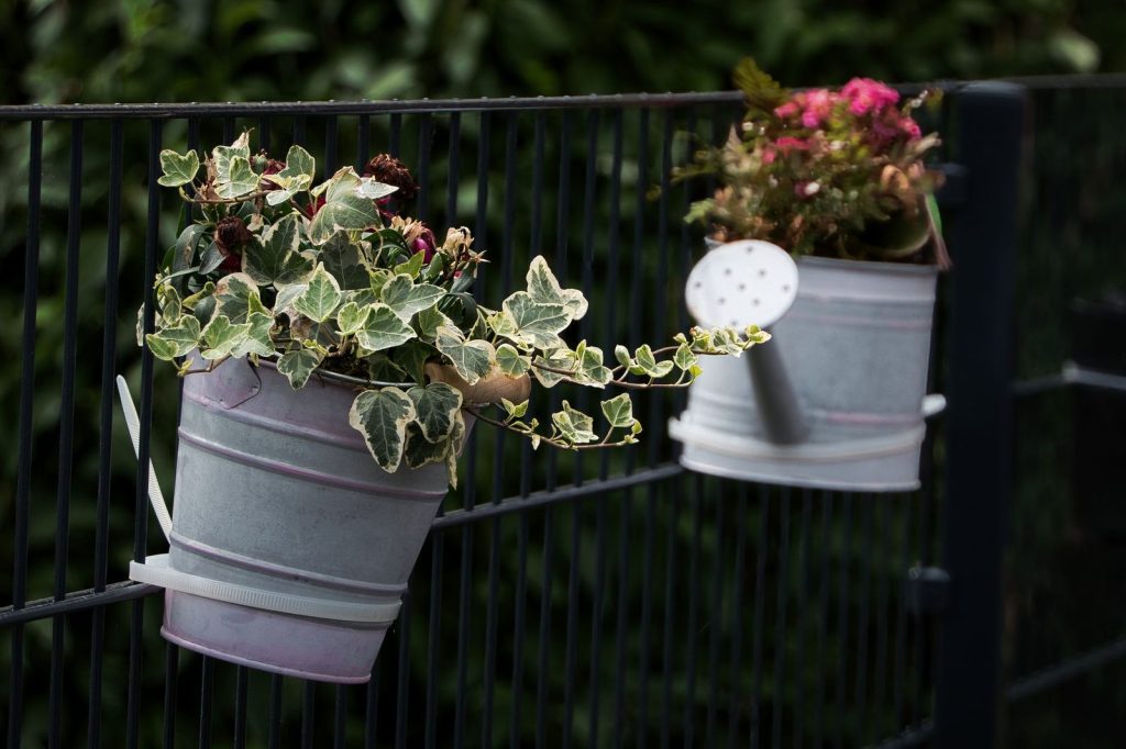 Un arrosoir à long bec utilisé parmi des pots sur un balcon.