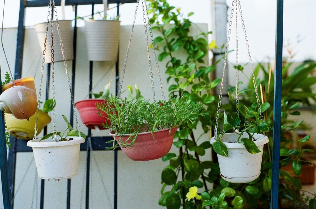 Pots suspendus fleuris sur un balcon ensoleillé.