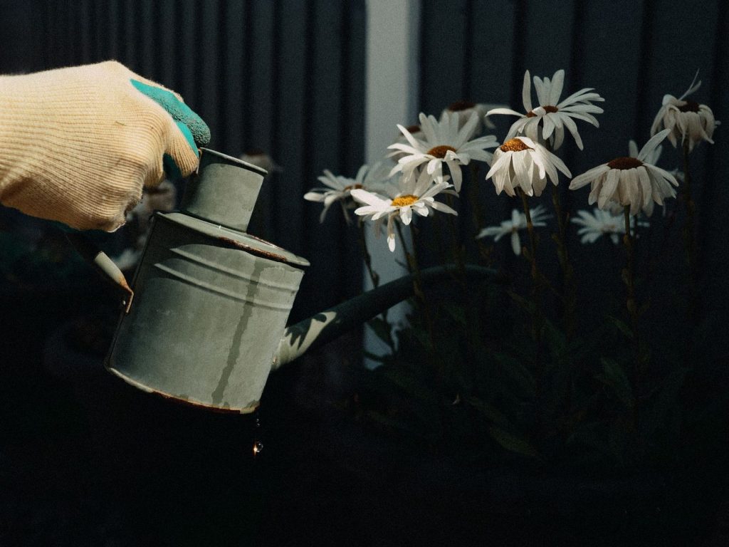 Arrosage matinal de plantes en pot sur un balcon