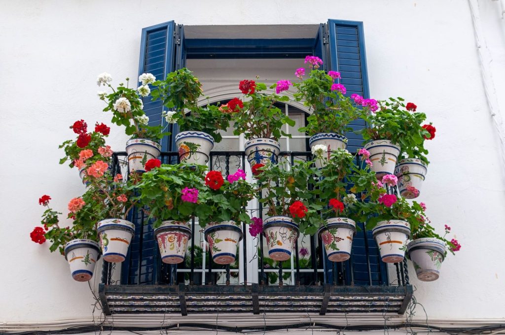 Un balcon en ville aménagé avec plantes ornementales et potager en pots.