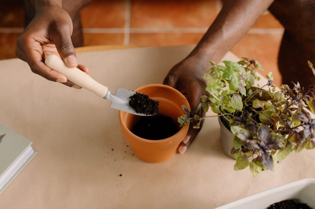 Du compost mûr, tamisé, prêt à enrichir les jardinières du balcon.