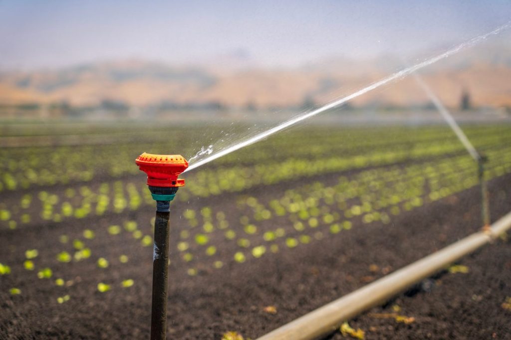 Irrigation d'un champ agricole soumis à des restrictions