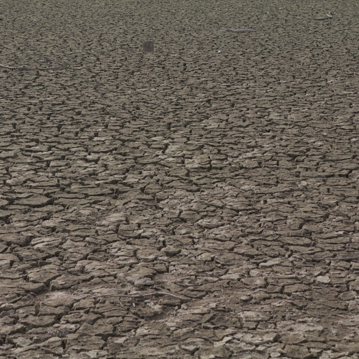Alerte sécheresse dans la Manche : vos habitudes d'eau à revoir d'urgence !