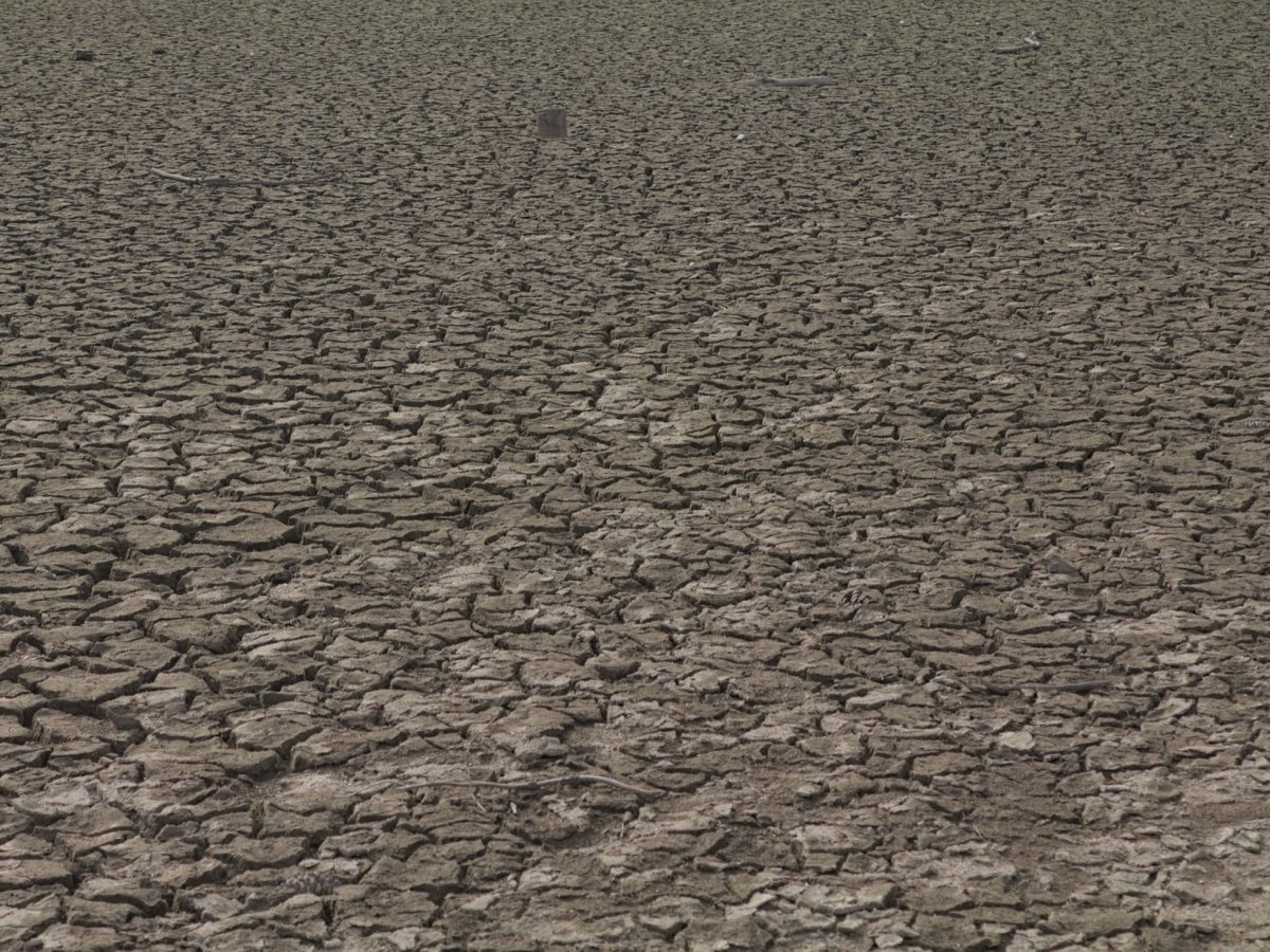 Alerte sécheresse dans la Manche : vos habitudes d'eau à revoir d'urgence !