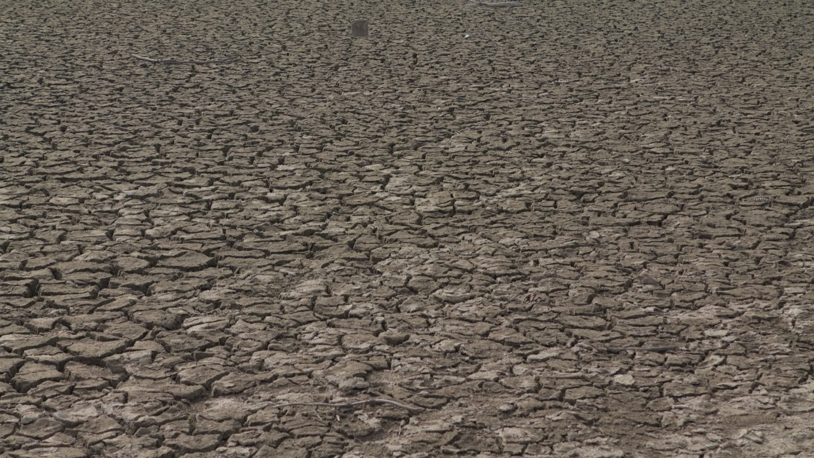 Alerte sécheresse dans la Manche : vos habitudes d'eau à revoir d'urgence !