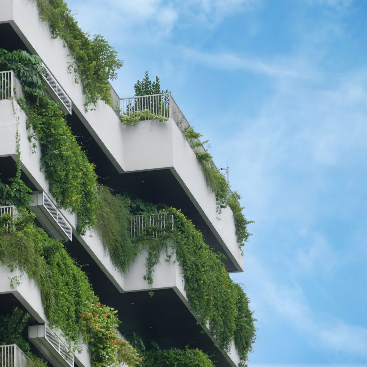 Jardin amenage sur un balcon