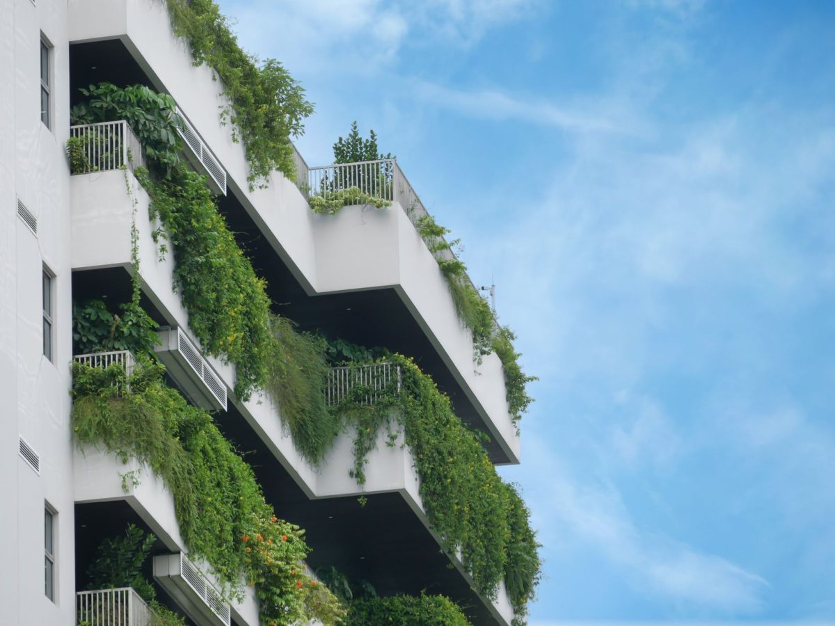 Jardin amenage sur un balcon