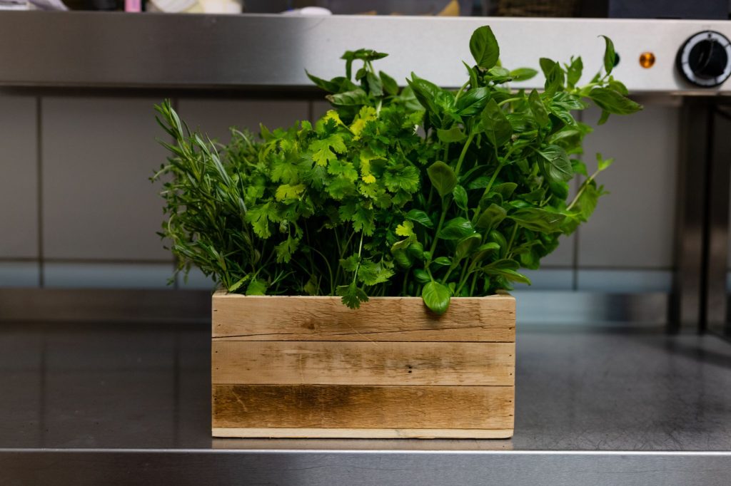 Plantes aromatiques cultivees sur un balcon