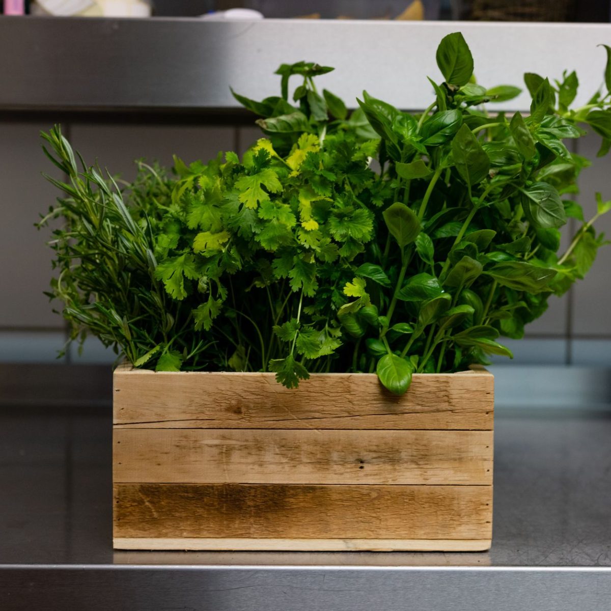 Plantes aromatiques cultivees sur un balcon