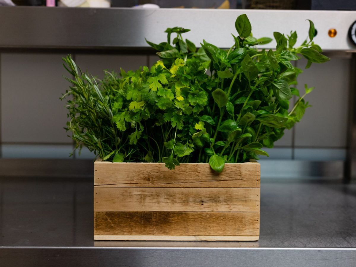 Plantes aromatiques cultivees sur un balcon