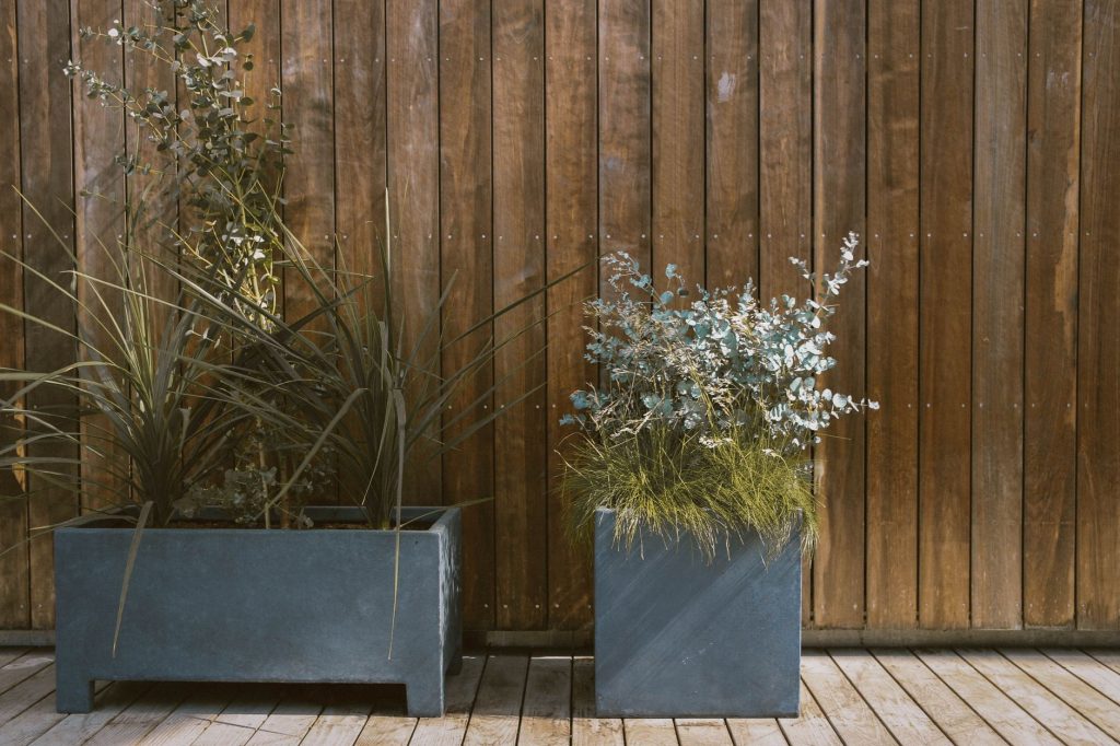 Potager installe sur un balcon