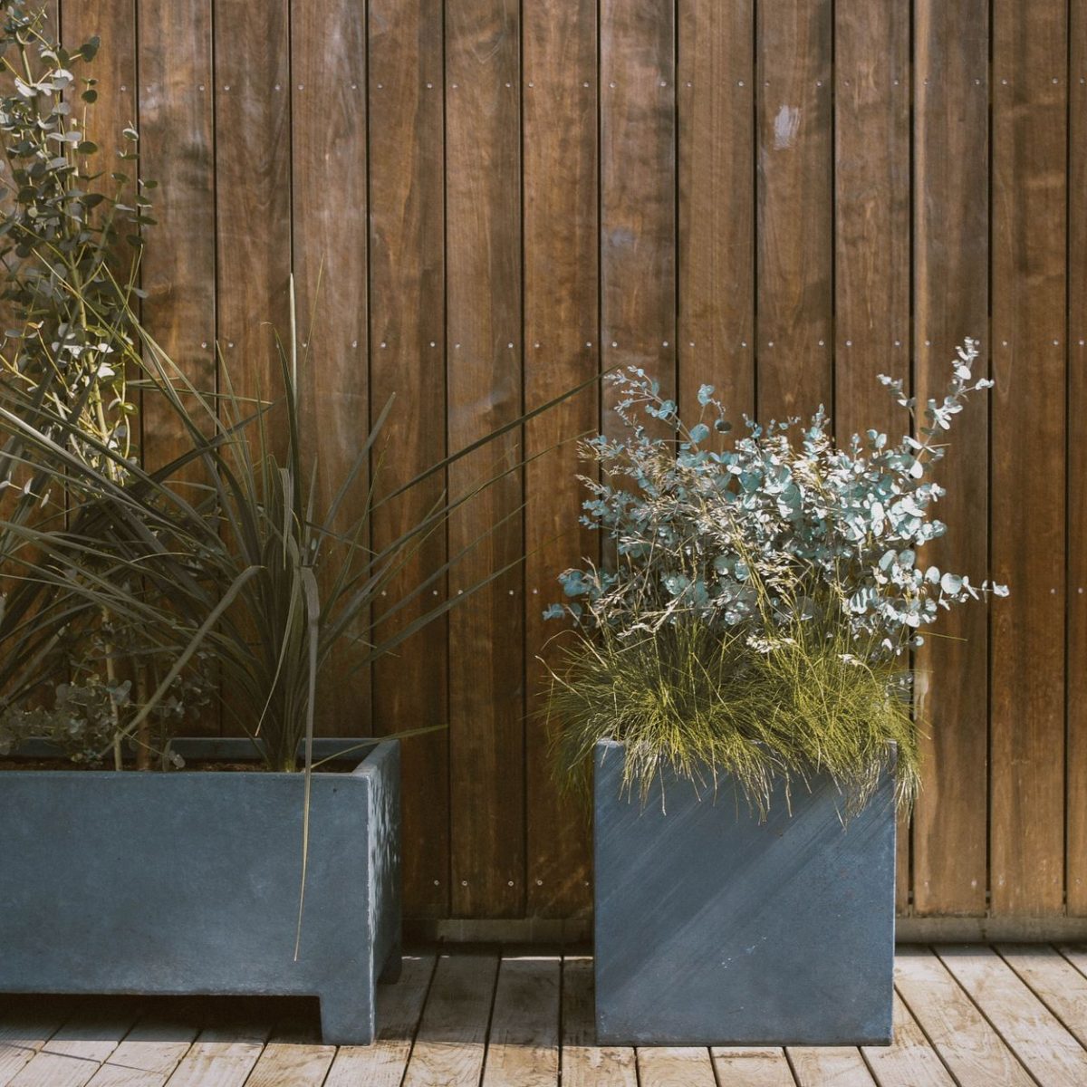 Potager installe sur un balcon