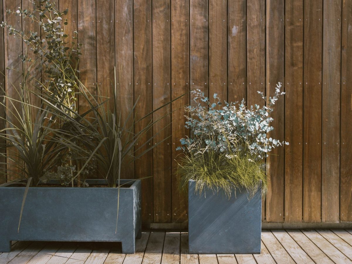 Potager installe sur un balcon