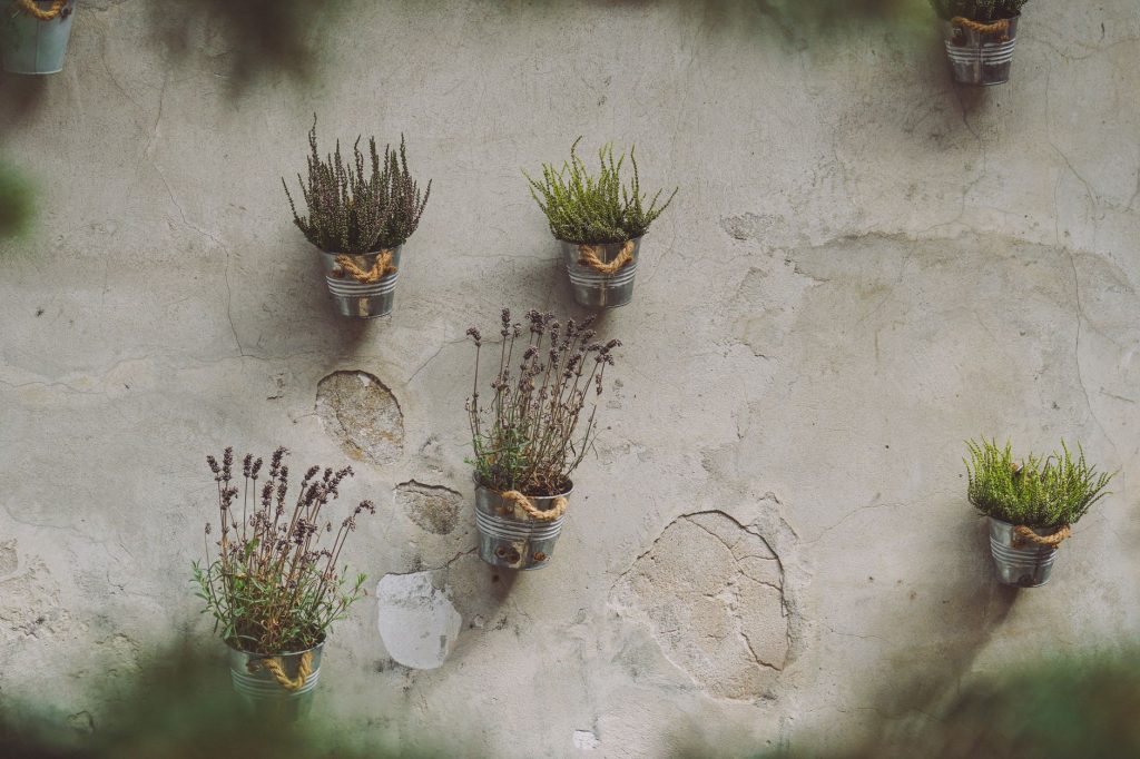 Pots suspendus pour herbes aromatiques