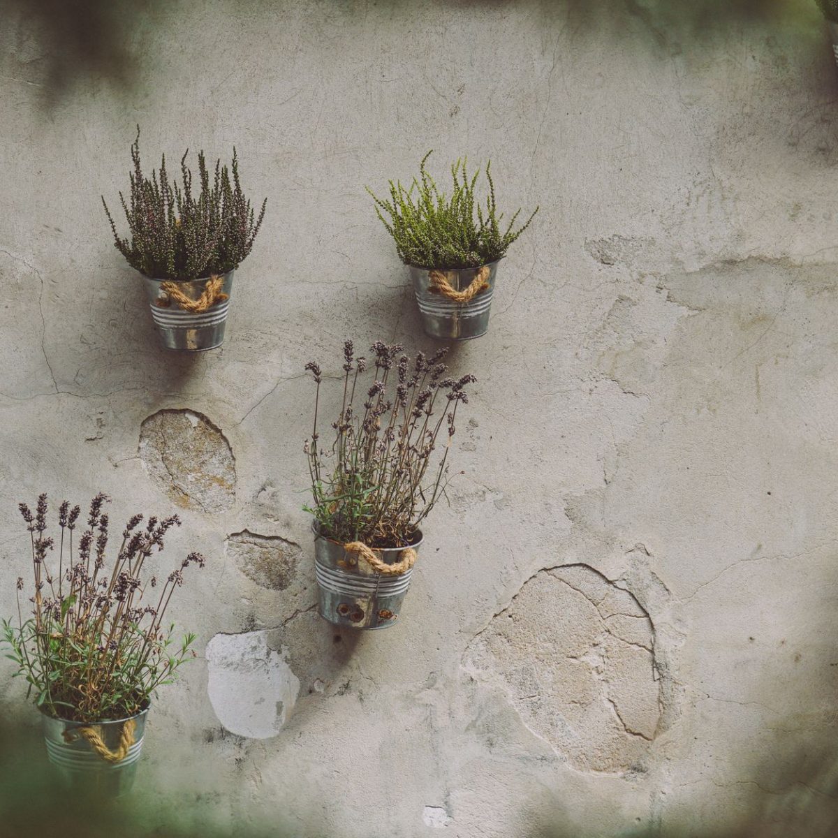 Pots suspendus pour herbes aromatiques