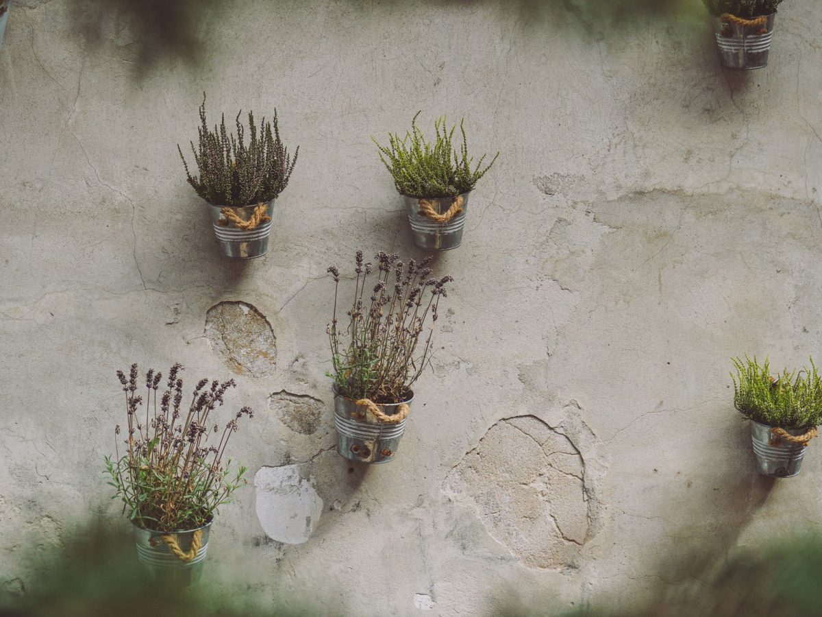 Pots suspendus pour herbes aromatiques