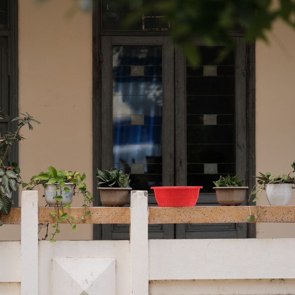 Balcon amenage avec des plantes en pot