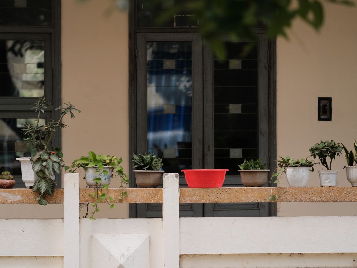 Balcon amenage avec des plantes en pot