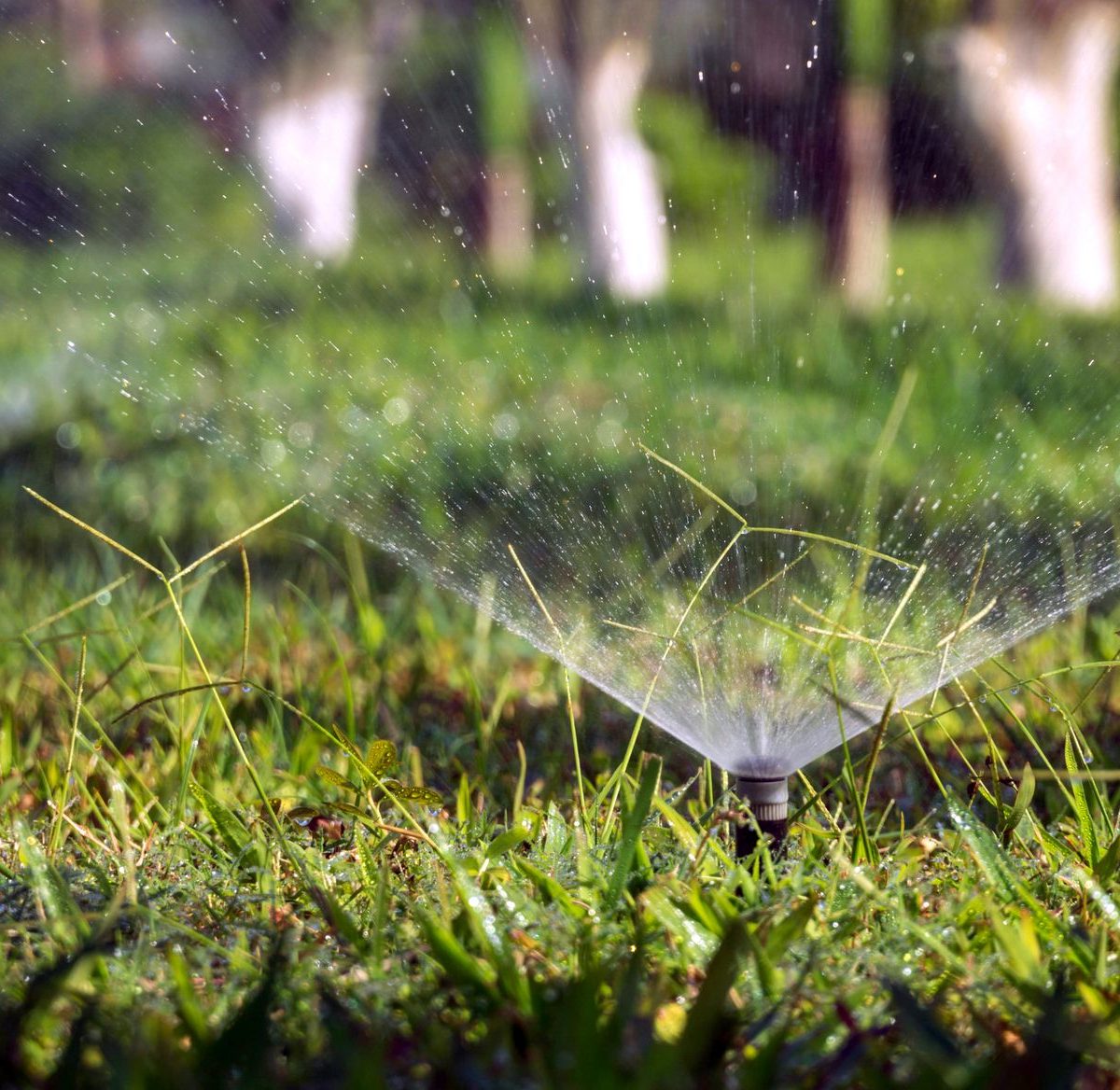 Arrosage automatique de jardin