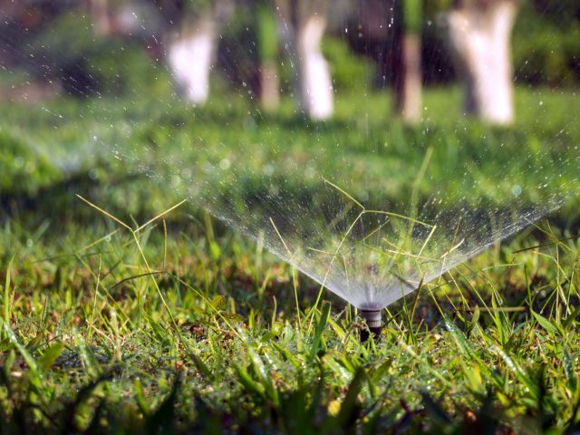 Gardena ou Rain Bird : quel système d&rsquo;arrosage choisir ?
