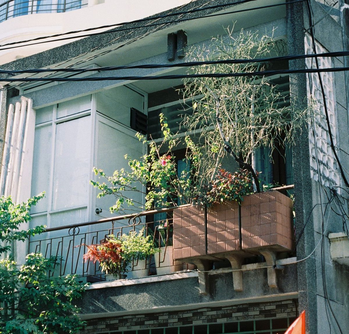 Systeme d arrosage pour plantes de balcon