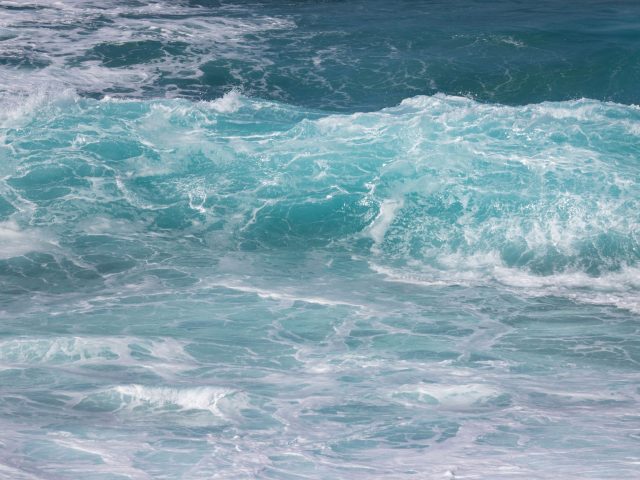 Depuis août, la température océanique mondiale dépasse 21°C
