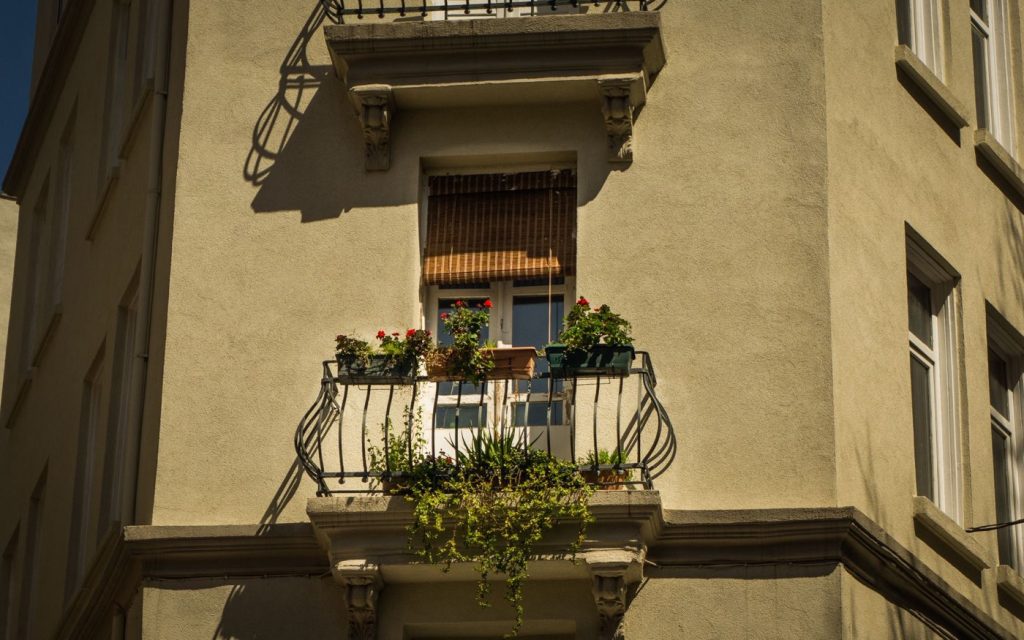 Meilleures plantes pour balcon ombragé : 7 options faciles