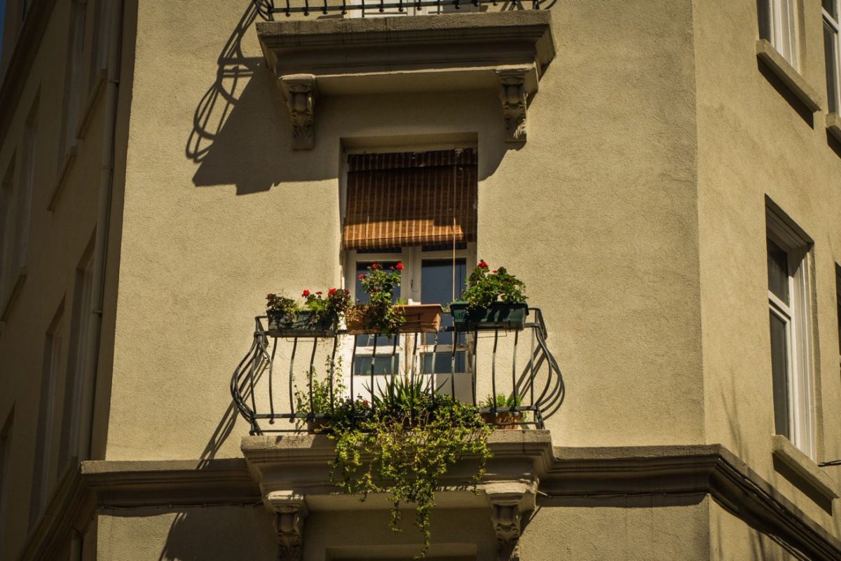 Meilleures plantes pour balcon ombragé : 7 options faciles