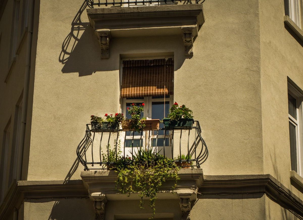 Meilleures plantes pour balcon ombragé : 7 options faciles
