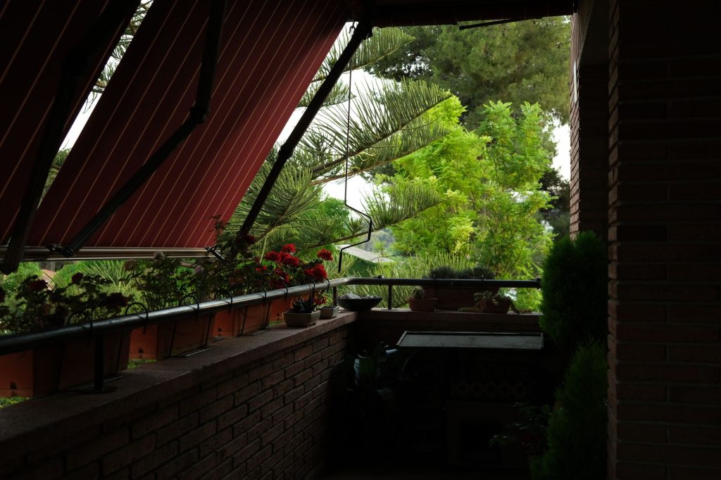 Plantes adaptées pour un balcon ombragé