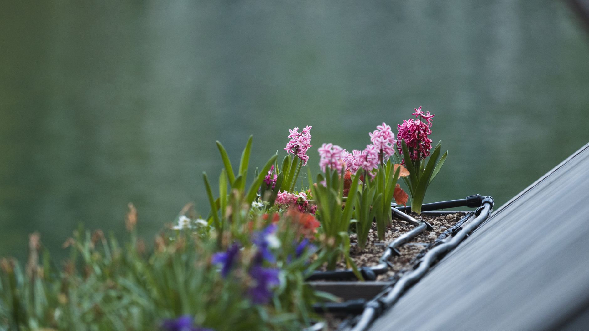 Avis GARDENA système d'arrosage pour balcon