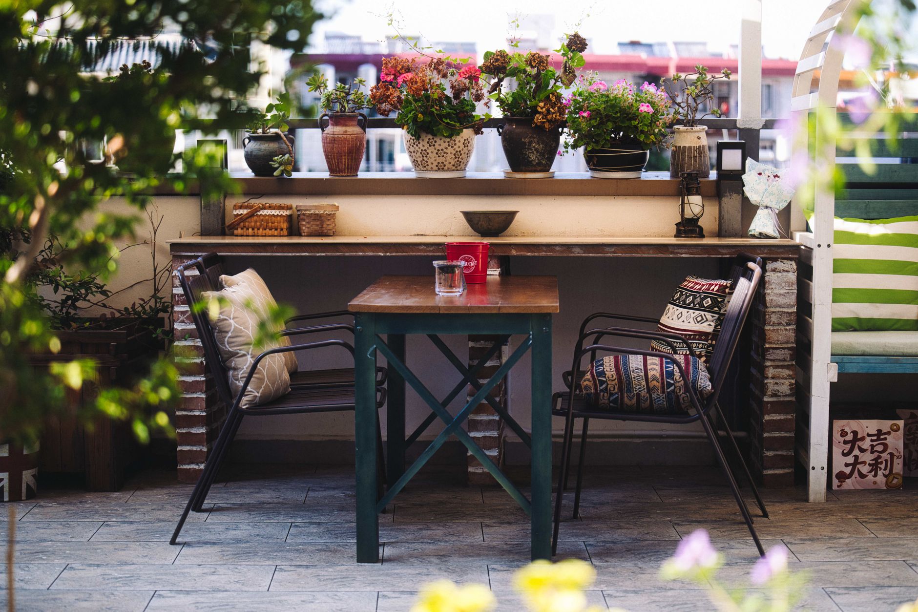 Plantes faciles pour balcon : guide concis pour débutant