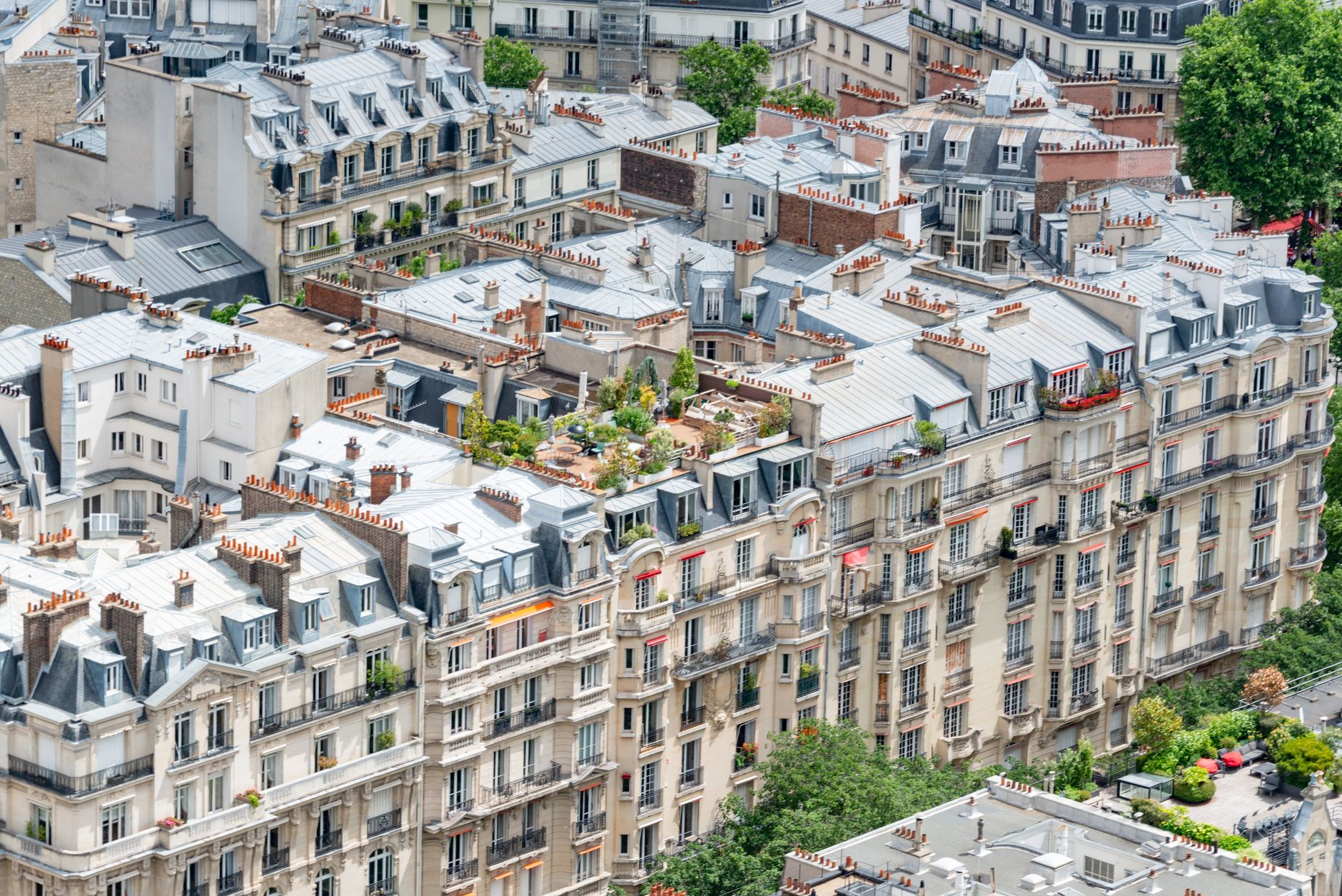 Comparatif des systèmes d'arrosage pour balcon