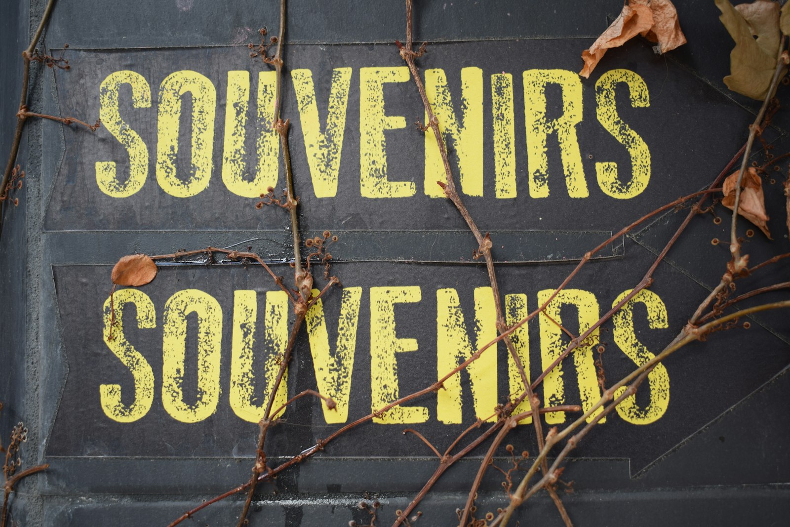 74 % des nappes phréatiques en baisse : comment éviter la pénurie d'eau ?