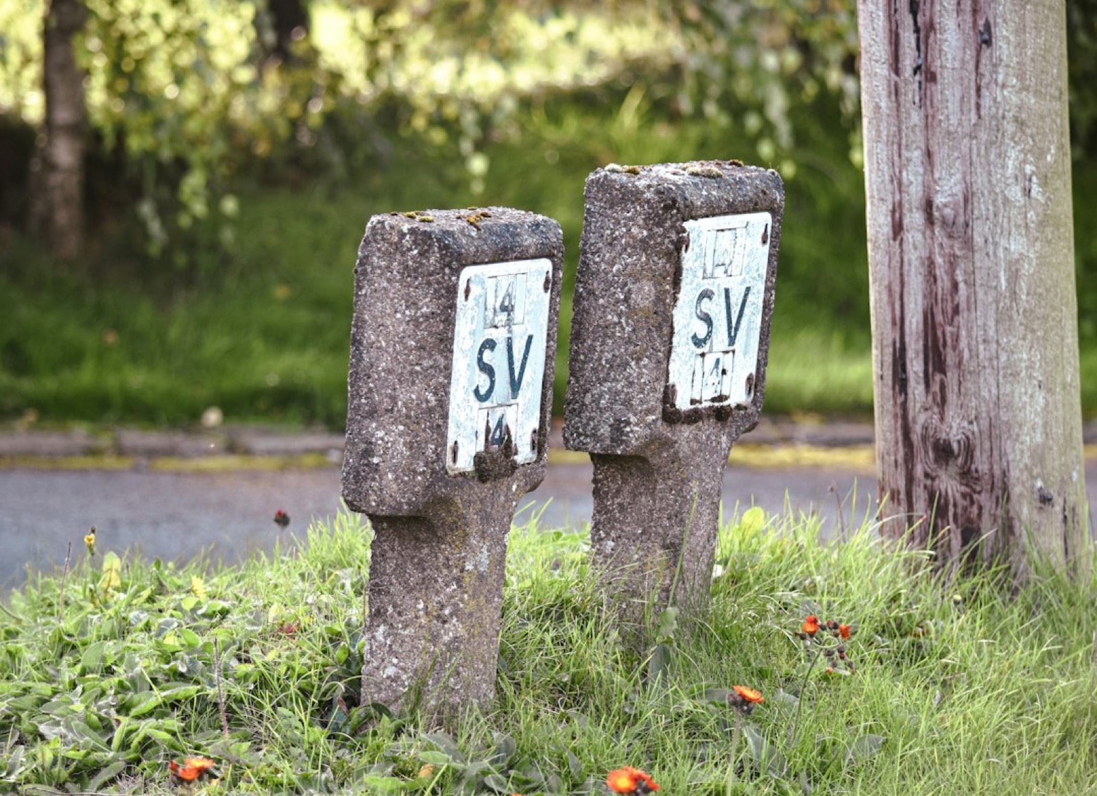 bornes en béton marquant la limite d'un terrain avant travaux d'agrandissement